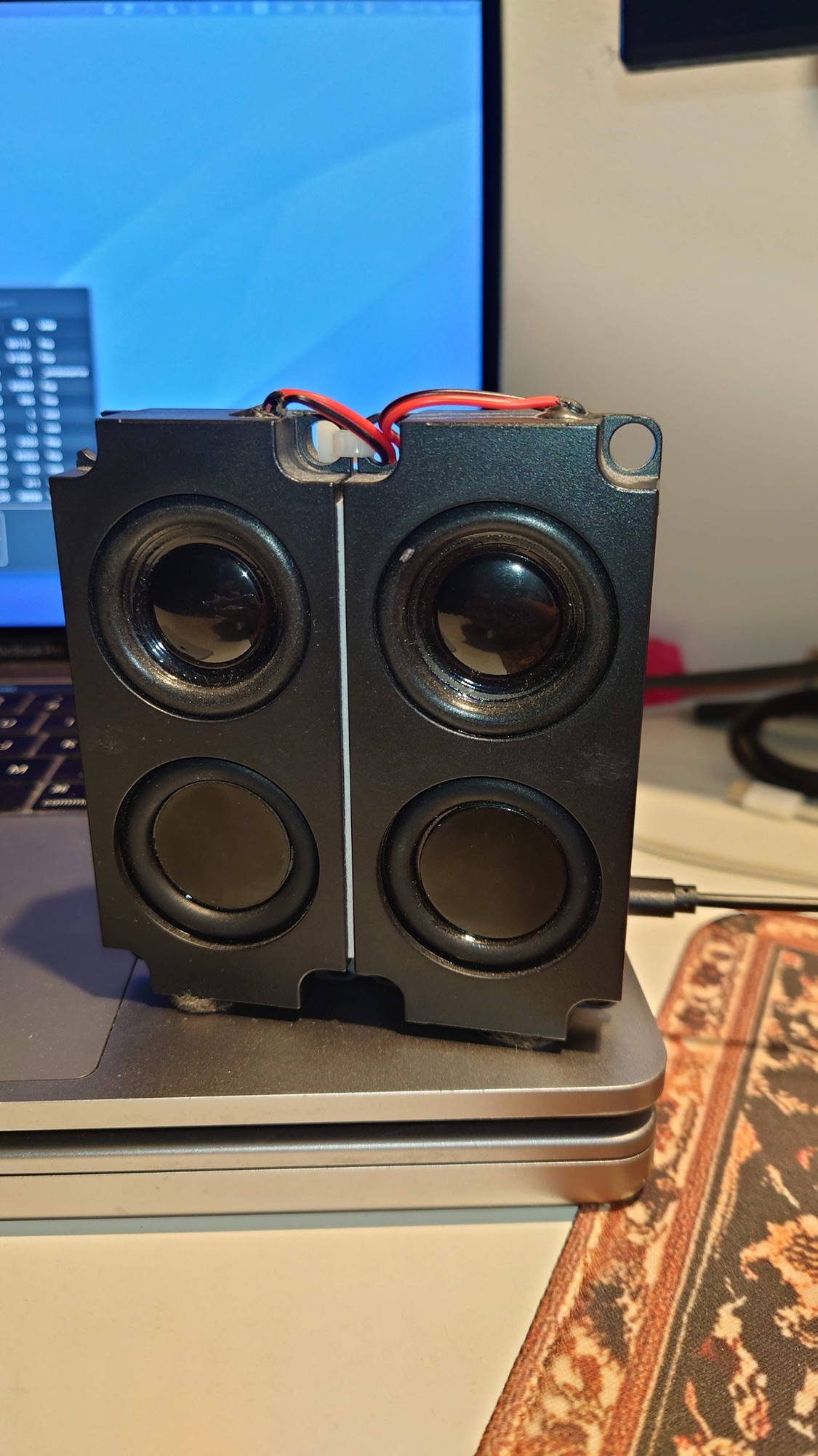 RaspiDR from the front: the stereo speaker pair